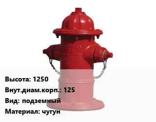 Пожарный гидрант 1250 d=125 подземный чугун